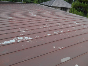 屋根塗装 (3)
